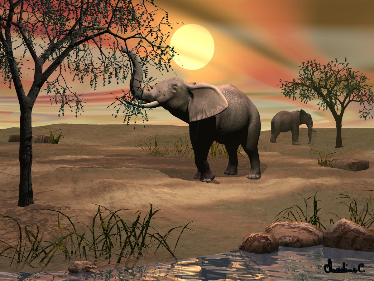 Éléphants dans la savane